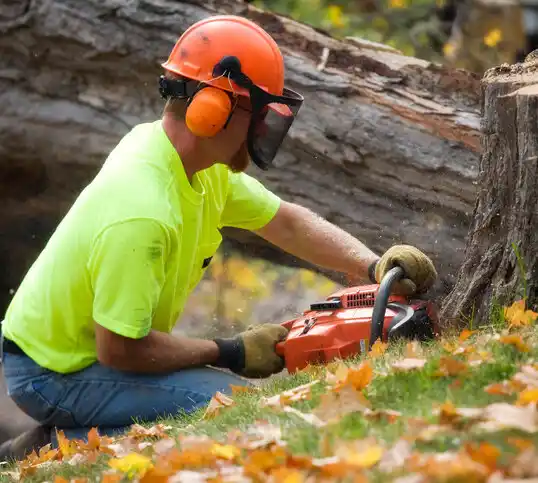 tree services Terry